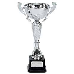 Silver Surge Silver Cup 285mm