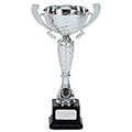 Silver Surge Silver Cup 285mm