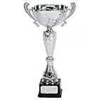 Silver Surge Silver Cup 42cm