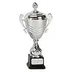 Silver Link Apex Silver Cup 30cm