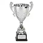 Silver Link Silver Cup  35cm