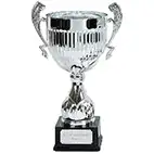 Silver Alpha Silver Cup 48cm