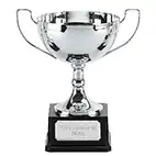 Silver Elite Vista Cup 30cm