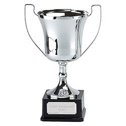Silver Elite Pro Cup 28cm