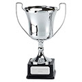Silver Elite Pro Cup 36cm