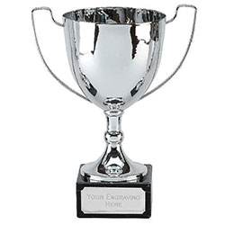Silver Elite Champion Cup  25cm