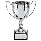 Silver Elite Champion Cup 25cm