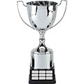 Silver Elite Perpetual XL Cup 46cm