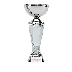 Silver Tower Silver Cup 27cm