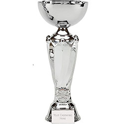 Silver Tower Silver Cup 28cm