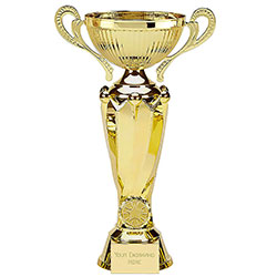 Gold Tower Twin Gold Cup 30cm