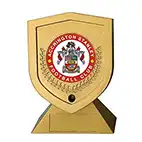Custom Gold Trophy 13cm