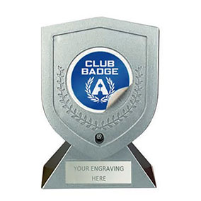 Custom Silver Trophy 13cm