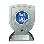 Custom Silver Trophy 13cm