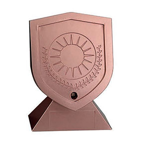 Custom Bronze Trophy 13cm