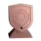 Custom Bronze Trophy 13cm