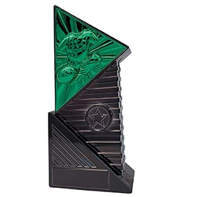 Green Infinium Football Award 22cm