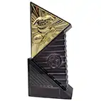 Gold Infinium Football Award 22cm