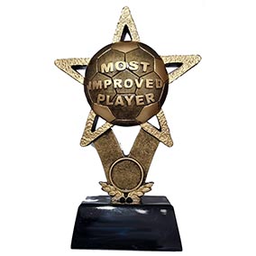 Gold Star Most Improved 205mm