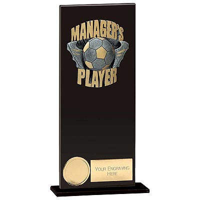 Euphoria Hero Managers Player Award 200mm