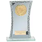Eternal Silver Mirror Multisport Award 165mm