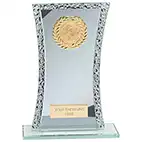 Eternal Silver Mirror Multisport Award 205mm