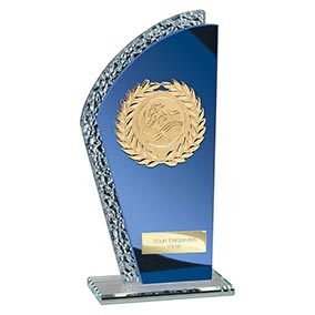 Hawk Blue Mirror Multisport Award 165mm