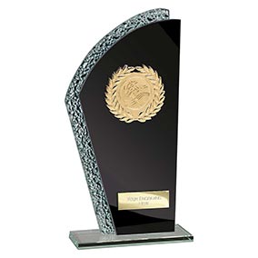 Hawk Black Mirror Multisport Award 205mm