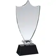Crystal Shield Award 8.25 inch