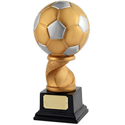 Gold Silver Football Award 255mm