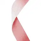 Pink Ribbon