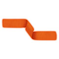 Neon Orange Ribbon
