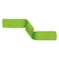 Neon Green Ribbon