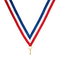 Childrens Safety Velcro Medal Ribbon 360x10mm