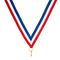 Childrens Safety Velcro Medal Ribbon 360x20mm