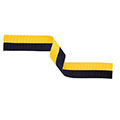 Black & Yellow Ribbon