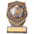 Manager trophies Birmingham