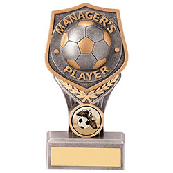 FOOTBALL SOCCER MANAGERS PLAYER TROPHY ENGRAVED FREE SQUAD TEAM AWARD TROPHIES 
