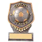 Falcon Football Coachs Player Award 105mm