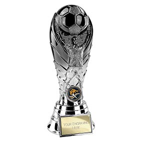Winning Goal Trophy 220mm