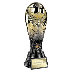 Winning Goal Gold Trophy 250mm