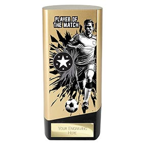 Player of the Match Gold Prime 160mm