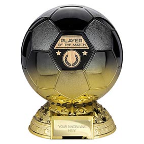 Elite Black Gold Player of the Match 200mm