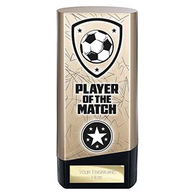 Gold Prime Player of the Match 160mm