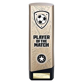 Gold Prime Player of the Match 220mm