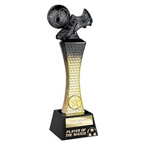 Raider Black Gold Player of the Match 260mm