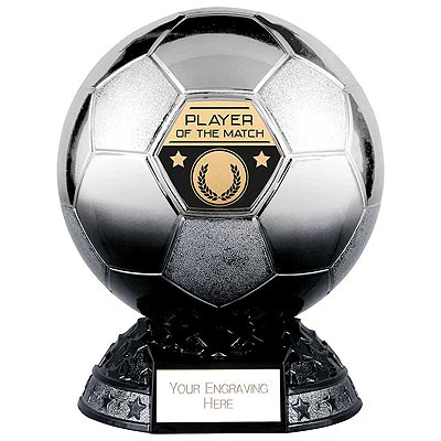 Elite Metallic Silver to Black Player of the Match 200mm