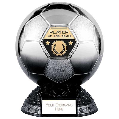 Elite Metallic Silver to Black Player of the Year 200mm