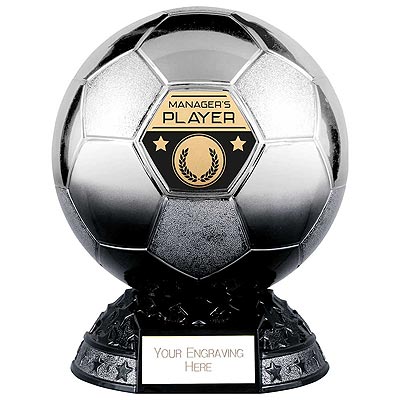 Elite Metallic Silver to Black Managers Player 185mm