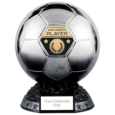 Elite Metallic Silver to Black Managers Player 200mm